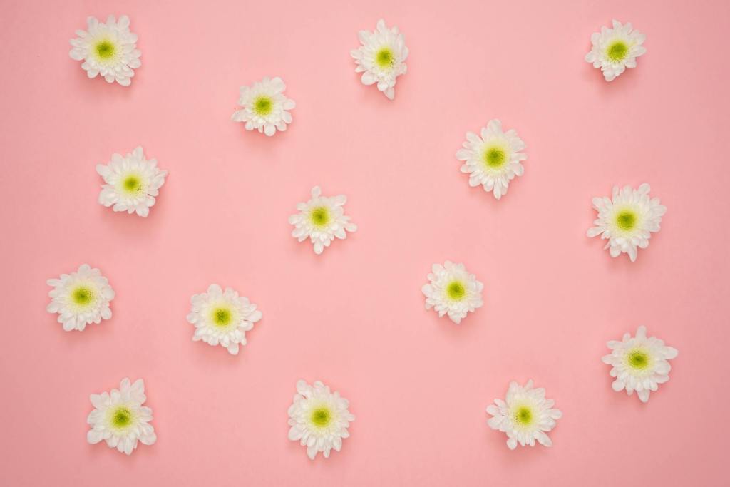 【秒懂】41種花語，讓你選對禮物不NG。